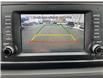2018 Kia Sedona  (Stk: 251535A) in Kingston - Image 27 of 32