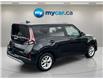 2023 Kia Soul  (Stk: 260622) in North Bay - Image 6 of 34