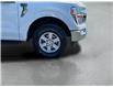 2021 Ford F-150  (Stk: 260380) in North Bay - Image 11 of 34