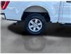 2021 Ford F-150  (Stk: 260380) in North Bay - Image 12 of 34