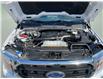 2021 Ford F-150  (Stk: 260380) in North Bay - Image 33 of 34