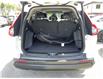 2023 Honda CR-V EX-L (Stk: 104247) in Ottawa - Image 23 of 24
