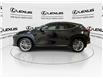 2023 Lexus NX 350  (Stk: 14112549A) in Markham - Image 5 of 28