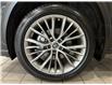 2023 Lexus NX 350  (Stk: 14112549A) in Markham - Image 10 of 28