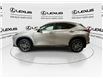 2024 Lexus NX 350h  (Stk: 14112730A) in Markham - Image 5 of 27