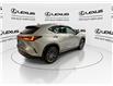 2024 Lexus NX 350h  (Stk: 14112730A) in Markham - Image 8 of 27