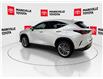 2024 Lexus NX 350 Base (Stk: 11U4508) in Markham - Image 7 of 30
