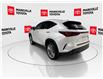 2024 Lexus NX 350 Base (Stk: 11U4508) in Markham - Image 8 of 30
