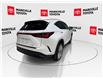 2024 Lexus NX 350 Base (Stk: 11U4508) in Markham - Image 10 of 30