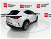 2024 Lexus NX 350 Base (Stk: 11U4508) in Markham - Image 11 of 30