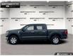 2021 Ford F-150 XLT (Stk: P11785) in Brantford - Image 3 of 25
