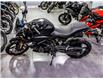 2025 BMW G310R  (Stk: B1467) in Woodbridge - Image 4 of 16