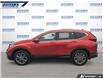 2020 Honda CR-V EX-L (Stk: P0385) in Dartmouth - Image 3 of 24