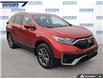 2020 Honda CR-V EX-L (Stk: P0385) in Dartmouth - Image 6 of 24