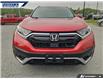 2020 Honda CR-V EX-L (Stk: P0385) in Dartmouth - Image 9 of 24