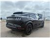 2026 Ford Mustang Mach-E Premium (Stk: T09750) in Hague - Image 8 of 14