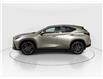 2026 Lexus NX 350  (Stk: 14112835) in Markham - Image 4 of 8