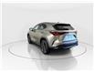 2026 Lexus NX 350  (Stk: 14112835) in Markham - Image 5 of 8