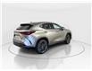 2026 Lexus NX 350  (Stk: 14112835) in Markham - Image 7 of 8