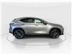 2026 Lexus NX 350  (Stk: 14112835) in Markham - Image 8 of 8