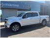 2019 Ford F-150 XLT (Stk: 24880) in Pembroke - Image 3 of 29