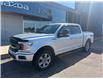 2019 Ford F-150 XLT (Stk: 24880) in Pembroke - Image 4 of 29