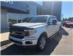 2019 Ford F-150 XLT (Stk: 24880) in Pembroke - Image 5 of 29
