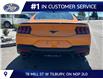 2026 Ford Mustang EcoBoost Premium (Stk: LFMU02033) in Tilbury - Image 4 of 13