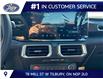 2026 Ford Mustang EcoBoost Premium (Stk: LFMU02033) in Tilbury - Image 10 of 13
