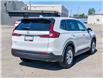 2026 Honda CR-V LX (Stk: WU7830) in Welland - Image 7 of 28
