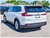 2026 Honda CR-V LX (Stk: WU7830) in Welland - Image 10 of 28