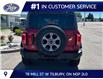 2026 Ford Bronco Big Bend (Stk: LFBR02093) in Tilbury - Image 3 of 13
