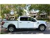 2025 Ford F-150 XLT (Stk: F02260) in North Vancouver - Image 7 of 20