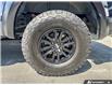 2024 Ford F-150 Raptor (Stk: T16971) in Richmond - Image 6 of 25
