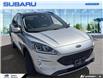 2021 Ford Escape SEL Hybrid (Stk: 6208A) in Tecumseh - Image 3 of 26