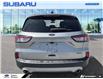 2021 Ford Escape SEL Hybrid (Stk: 6208A) in Tecumseh - Image 6 of 26