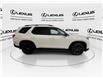 2024 Honda Pilot  (Stk: 14112663A) in Markham - Image 9 of 34