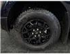 2026 Ford F-150 XLT (Stk: T0079) in ROSETOWN - Image 17 of 17