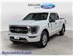 2021 Ford F-150 Platinum (Stk: 17176-1) in Wyoming - Image 3 of 15