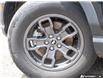 2024 Ford Bronco Sport Big Bend (Stk: 6766A) in St. Thomas - Image 6 of 27