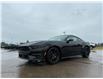 2026 Ford Mustang EcoBoost Premium (Stk: T24021) in Hague - Image 4 of 13