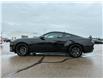 2026 Ford Mustang EcoBoost Premium (Stk: T24021) in Hague - Image 5 of 13