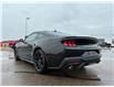 2026 Ford Mustang EcoBoost Premium (Stk: T24021) in Hague - Image 6 of 13