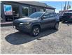 2019 Jeep Cherokee Trailhawk (Stk: ZTRAIL) in Sudbury - Image 1 of 17