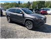 2019 Jeep Cherokee Trailhawk (Stk: ZTRAIL) in Sudbury - Image 7 of 17
