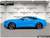 2017 Ford Mustang EcoBoost (Stk: P11790) in Brantford - Image 3 of 22
