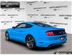 2017 Ford Mustang EcoBoost (Stk: P11790) in Brantford - Image 4 of 22