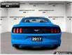 2017 Ford Mustang EcoBoost (Stk: P11790) in Brantford - Image 5 of 22