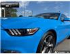 2017 Ford Mustang EcoBoost (Stk: P11790) in Brantford - Image 7 of 22
