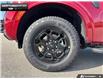 2026 Ford Ranger XLT (Stk: 6RG24086) in Brantford - Image 6 of 23